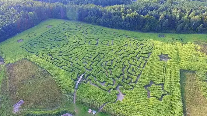 Park tematyczny dla dzieci - Świat Labiryntów